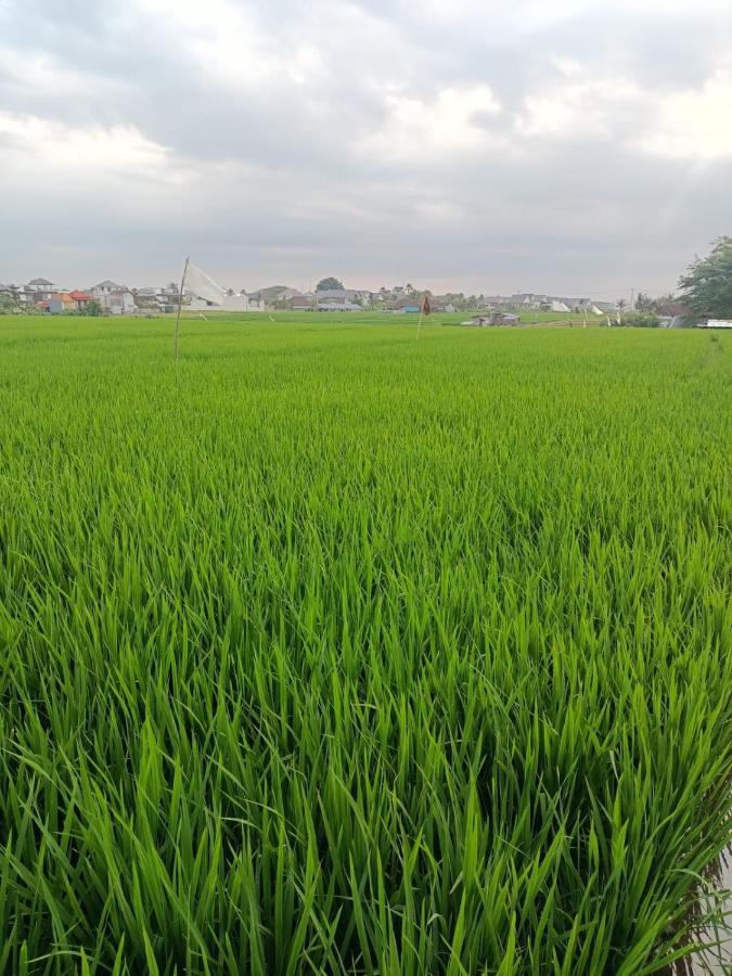 The Kd Suites & Coffee Shop Munggu ภายนอก รูปภาพ